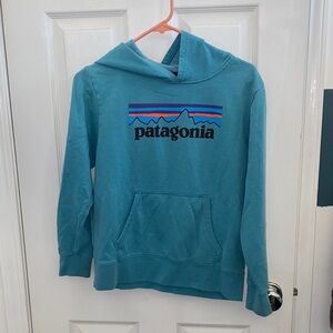 Patagonia Teal Hoodie with Logo